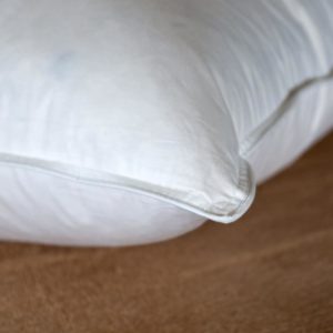 Goose Feather and Down Pillows
